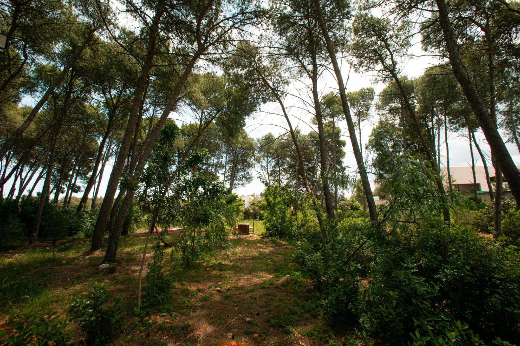 Dei Cento Pini Monteroni di Lecce